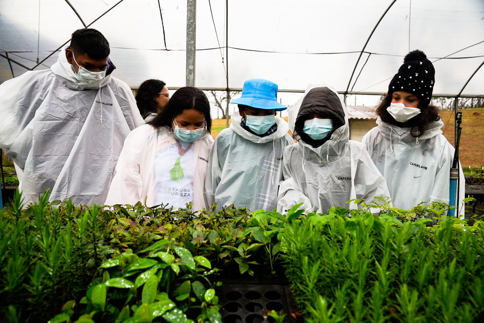 Ecosystem Restoration